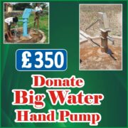 Big Water Hand Pump