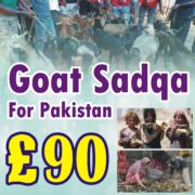 Goat Sadqa For Pak