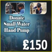 Small water hand pump